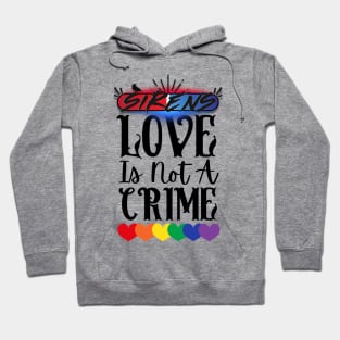 Love is Not a Crime Hoodie